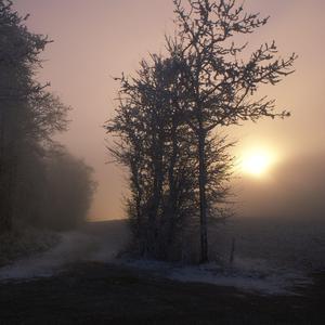 捆绑折磨奴役受虐狂
