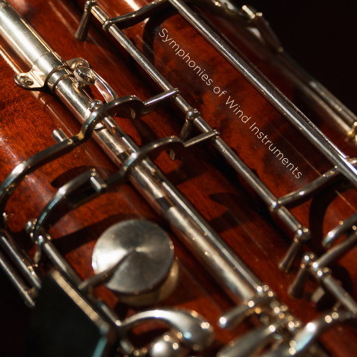 捆绑折磨奴役受虐狂
